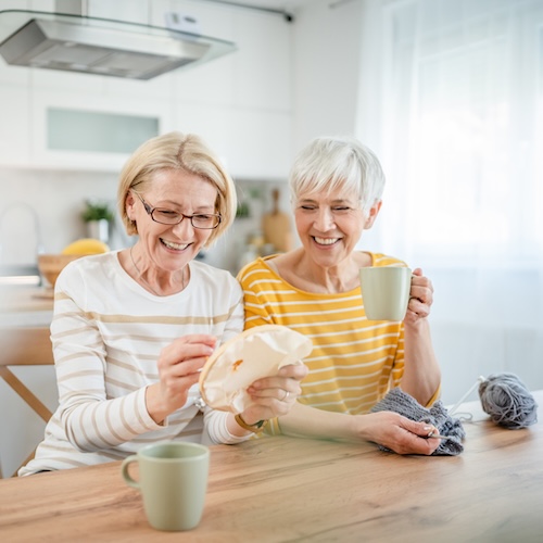 Two women in independent living apartment enjoying embroidery. 