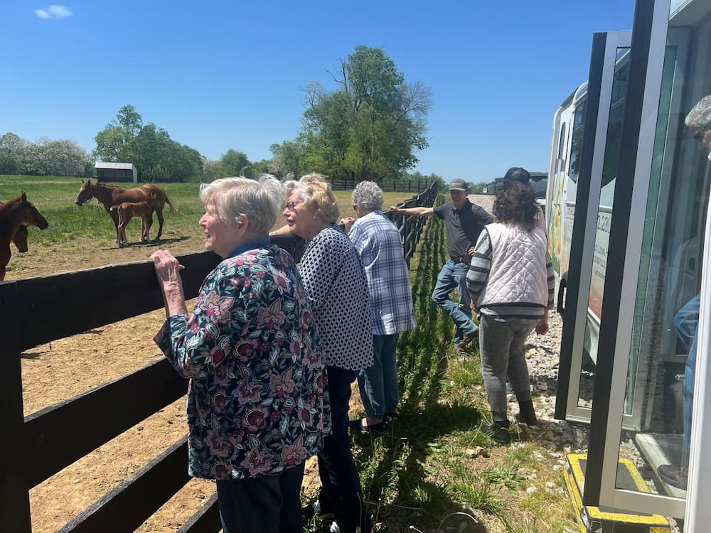 Residents enjoy a visit to a local horse farm, watching horses and foals from the fence during a community outing from Traditions of Beaumont.